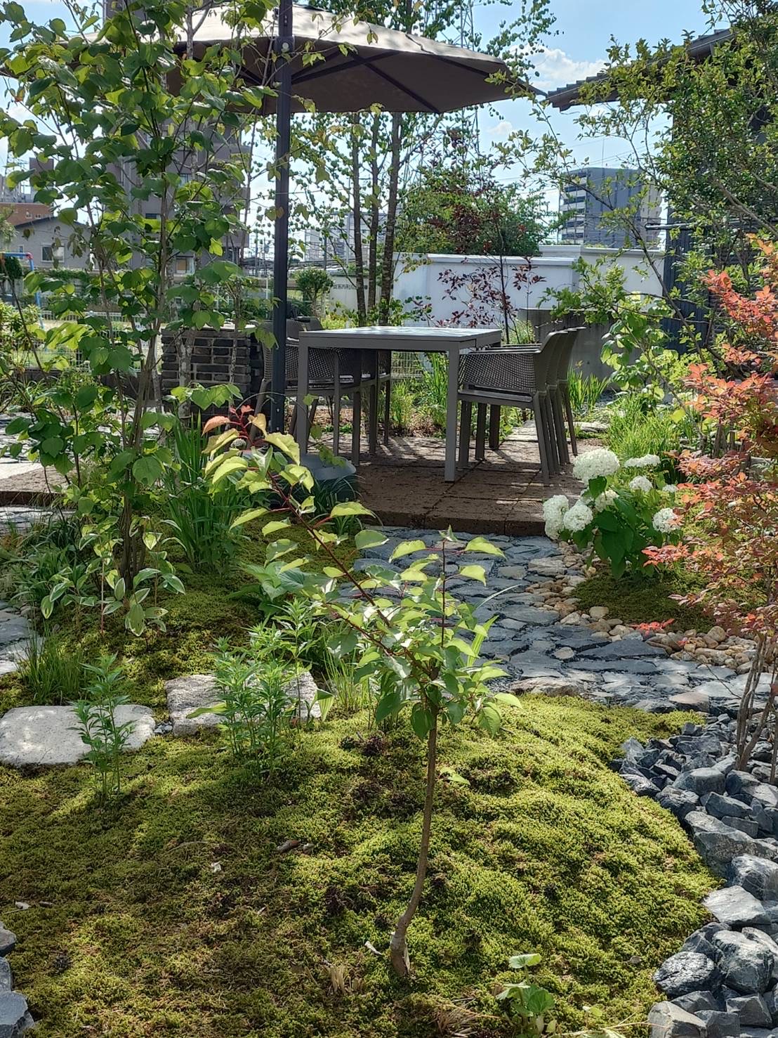 石畳と苔のある庭の小径
